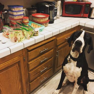 16113476_10210157700472794_5297799260023903450_o